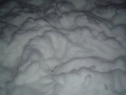 DSC06043.JPG